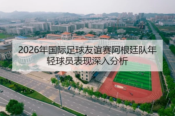 2026年国际足球友谊赛阿根廷队年轻球员表现深入分析