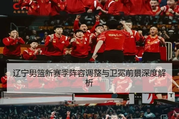 liao-ning-nan-lan-xin-sai-ji-zhen-rong-tiao-zheng-yu-wei-mian-qian-jing-shen-du-jie-xi-3-731.jpg