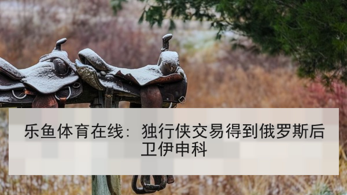 乐鱼体育在线: 独行侠交易得到俄罗斯后卫伊申科
