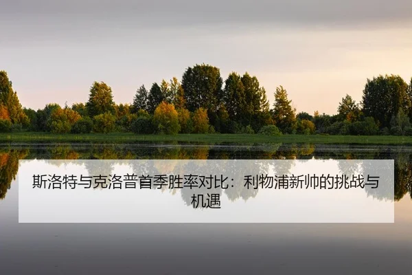si-luo-te-yu-ke-luo-pu-shou-ji-sheng-lv-dui-bi-li-wu-pu-xin-shuai-de-tiao-zhan-yu-ji-yu-2-298.jpg