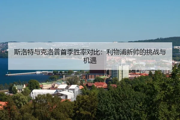 si-luo-te-yu-ke-luo-pu-shou-ji-sheng-lv-dui-bi-li-wu-pu-xin-shuai-de-tiao-zhan-yu-ji-yu-3-257.jpg