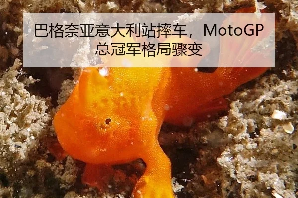 巴格奈亚意大利站摔车，MotoGP总冠军格局骤变