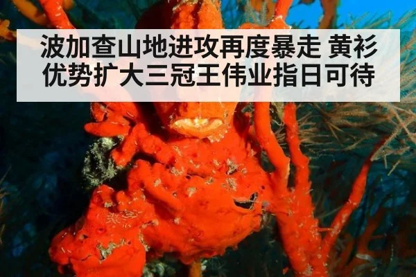 波加查山地进攻再度暴走 黄衫优势扩大三冠王伟业指日可待